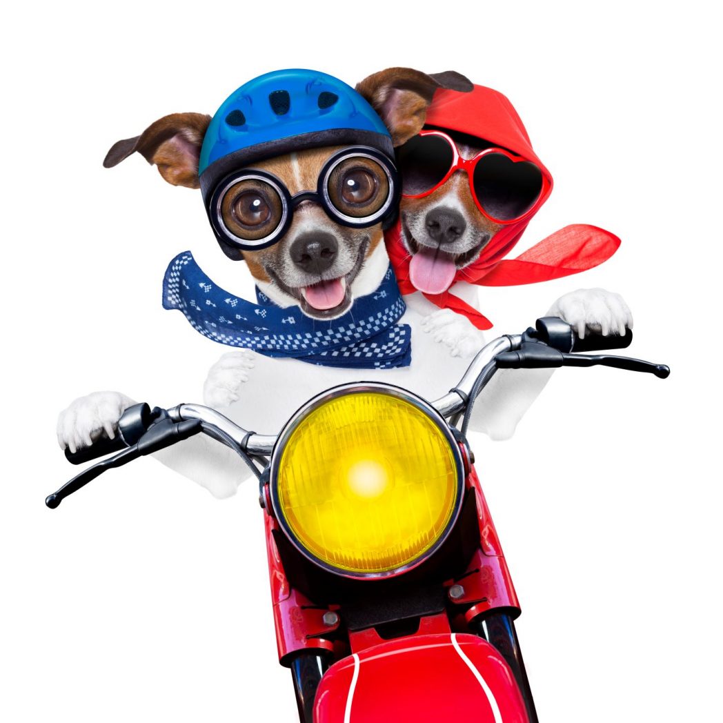 Insurance for Power Sports