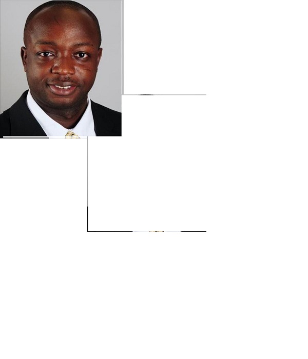 The Samuel Ameyaw Agency-logo