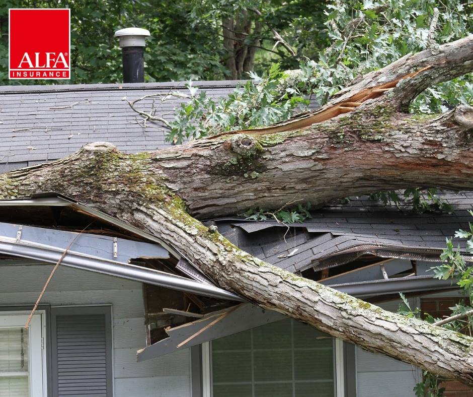 Protect your biggest asset - your home with Alfa