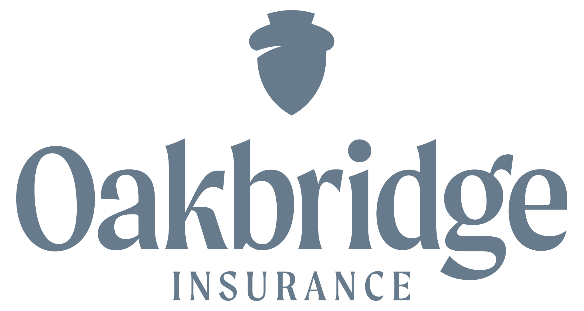 Brock Insurance Agency, a partner of Oakbridge Insurance-logo
