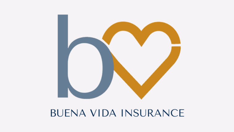 BUENA VIDA AGENCY INC