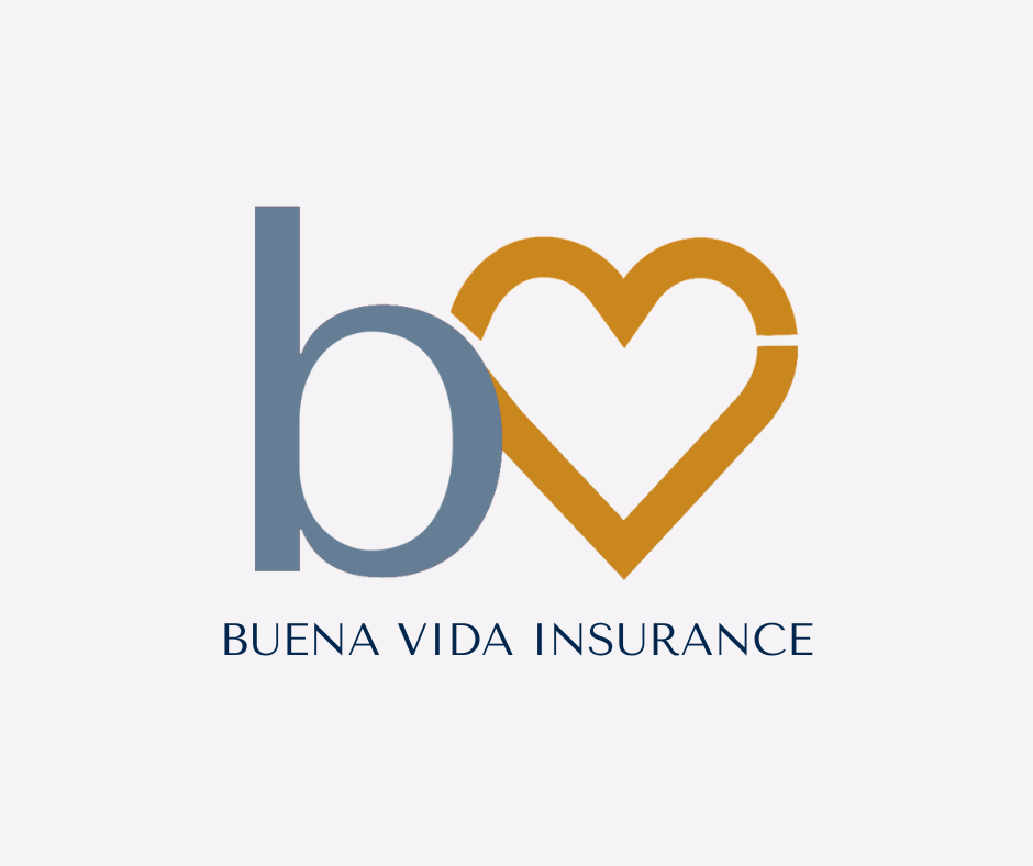 BUENA VIDA AGENCY INC-logo